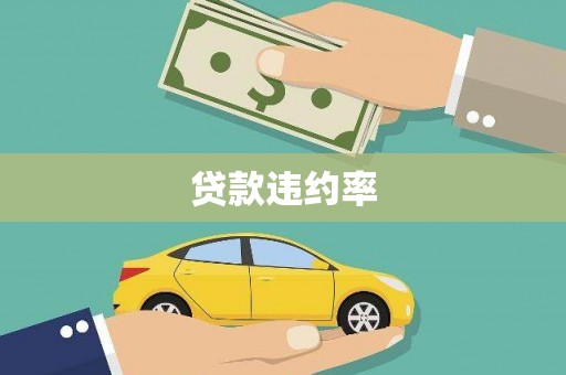 龙泉驿贷款违约率