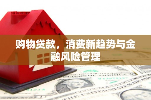 龙泉驿购物贷款，消费新趋势与金融风险管理