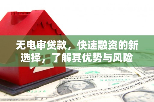 龙泉驿无电审贷款，快速融资的新选择，了解其优势与风险