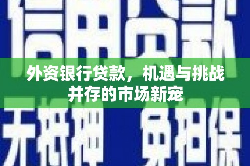 龙泉驿外资银行贷款，机遇与挑战并存的市场新宠