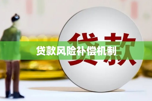 龙泉驿贷款风险补偿机制