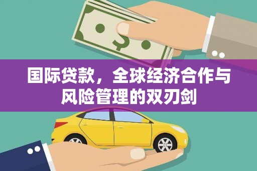 龙泉驿国际贷款，全球经济合作与风险管理的双刃剑