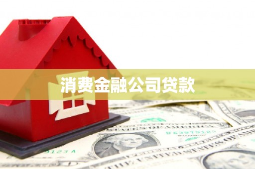 龙泉驿消费金融公司贷款