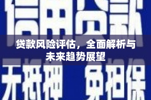 龙泉驿贷款风险评估，全面解析与未来趋势展望