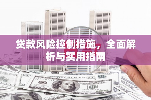 龙泉驿贷款风险控制措施，全面解析与实用指南