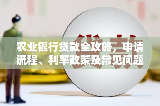 龙泉驿农业银行贷款全攻略，申请流程、利率政策及常见问题解析