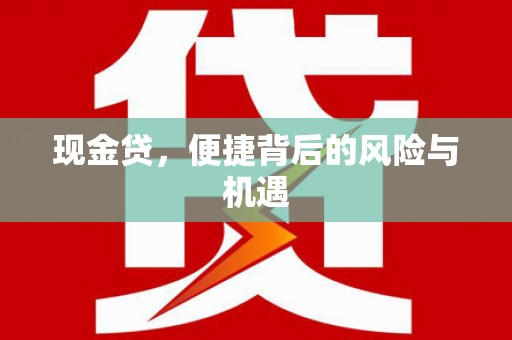 龙泉驿现金贷，便捷背后的风险与机遇