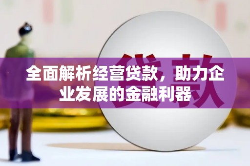 龙泉驿全面解析经营贷款，助力企业发展的金融利器