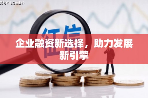 龙泉驿企业融资新选择，助力发展新引擎
