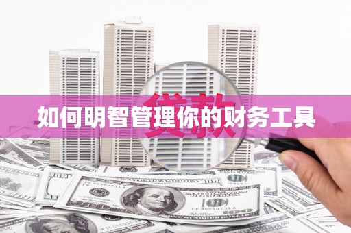 龙泉驿如何明智管理你的财务工具