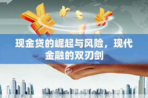 龙泉驿现金贷的崛起与风险，现代金融的双刃剑