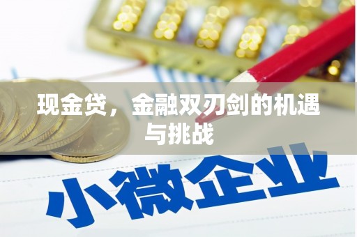 龙泉驿现金贷，金融双刃剑的机遇与挑战