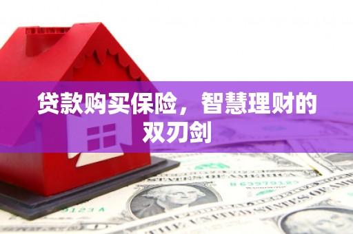 龙泉驿贷款购买保险，智慧理财的双刃剑