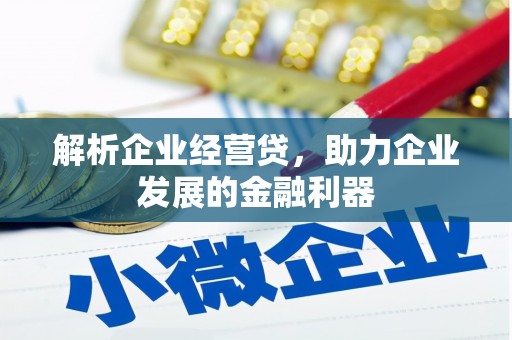 龙泉驿解析企业经营贷，助力企业发展的金融利器