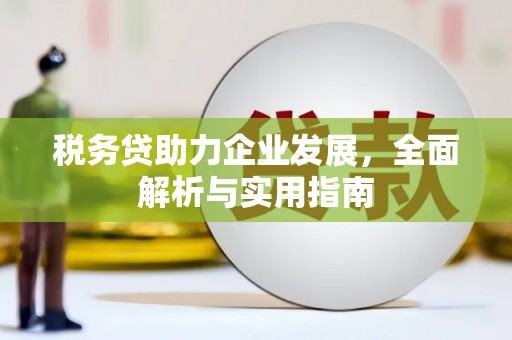 龙泉驿税务贷助力企业发展，全面解析与实用指南