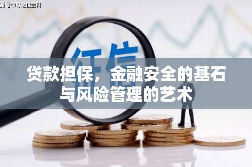 龙泉驿贷款担保，金融安全的基石与风险管理的艺术