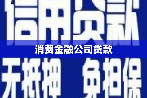 龙泉驿消费金融公司贷款