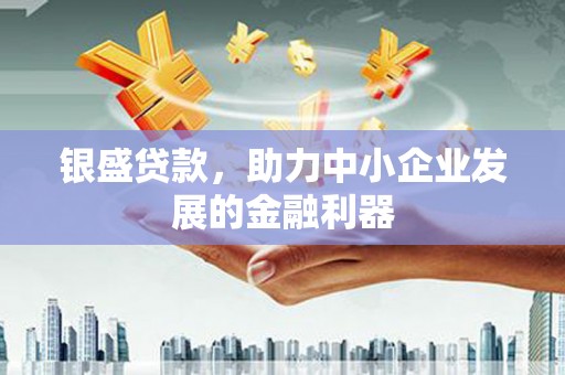 龙泉驿银盛贷款，助力中小企业发展的金融利器