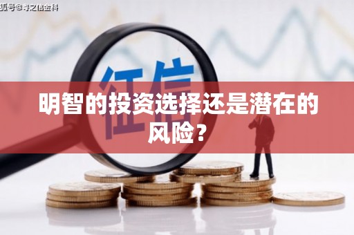 龙泉驿明智的投资选择还是潜在的风险？