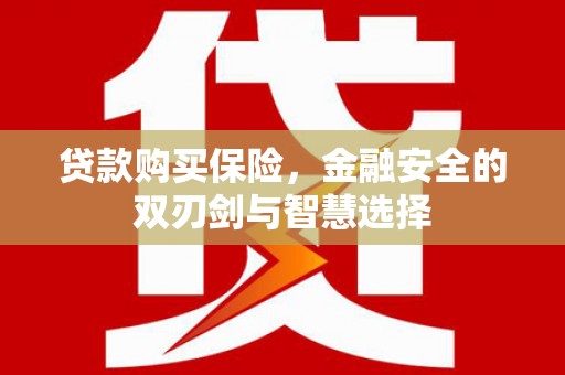 龙泉驿贷款购买保险，金融安全的双刃剑与智慧选择
