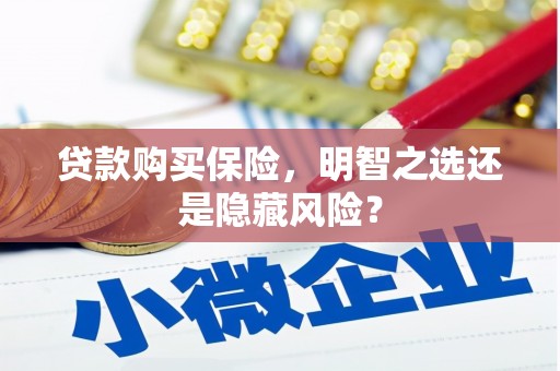 龙泉驿贷款购买保险，明智之选还是隐藏风险？