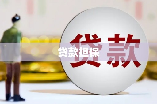 龙泉驿贷款担保