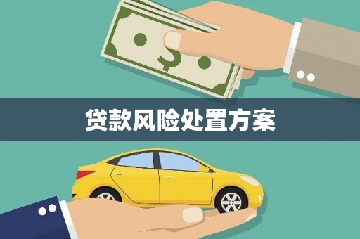 龙泉驿贷款风险处置方案