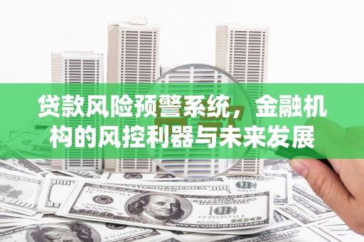 龙泉驿贷款风险预警系统，金融机构的风控利器与未来发展