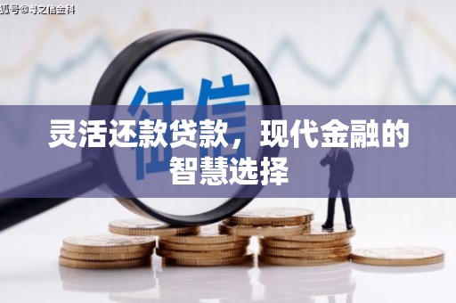 龙泉驿灵活还款贷款，现代金融的智慧选择