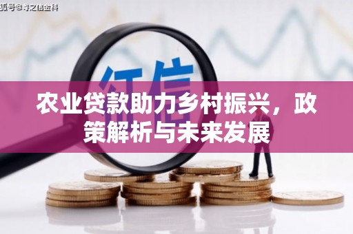 龙泉驿农业贷款助力乡村振兴，政策解析与未来发展