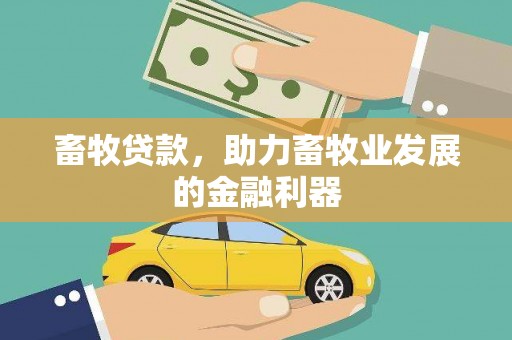龙泉驿畜牧贷款，助力畜牧业发展的金融利器