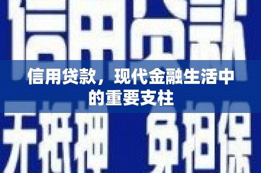 龙泉驿信用贷款，现代金融生活中的重要支柱