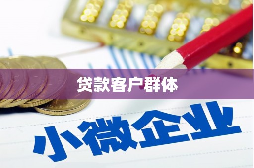龙泉驿贷款客户群体