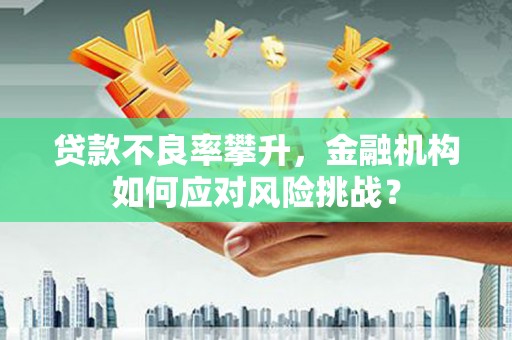 龙泉驿贷款不良率攀升，金融机构如何应对风险挑战？