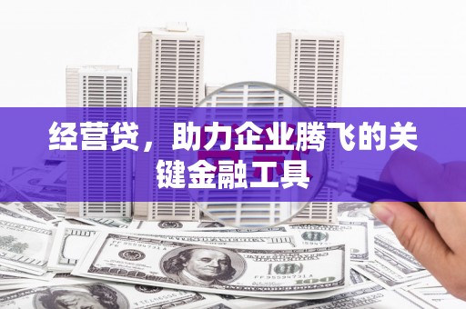 龙泉驿经营贷，助力企业腾飞的关键金融工具