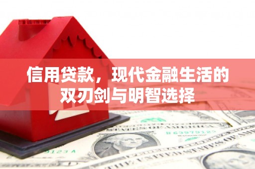龙泉驿信用贷款，现代金融生活的双刃剑与明智选择