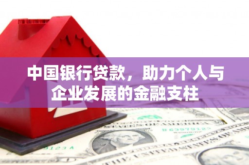 龙泉驿中国银行贷款，助力个人与企业发展的金融支柱
