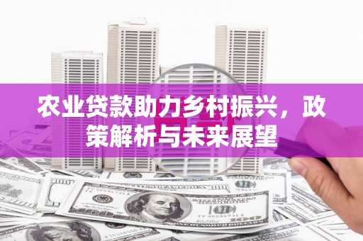 龙泉驿农业贷款助力乡村振兴，政策解析与未来展望