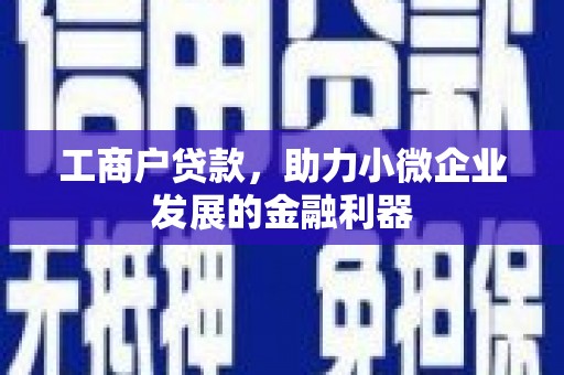 龙泉驿工商户贷款，助力小微企业发展的金融利器