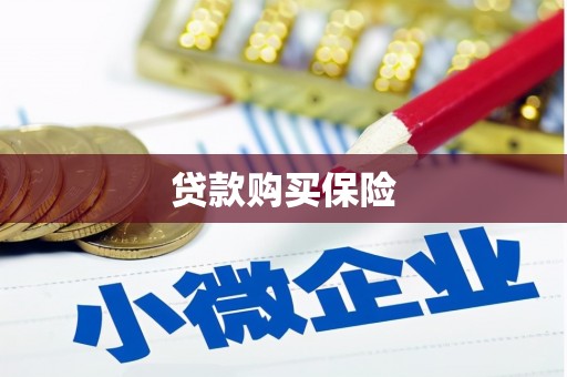 龙泉驿贷款购买保险