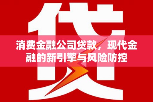 龙泉驿消费金融公司贷款，现代金融的新引擎与风险防控