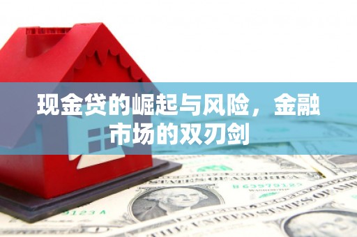 龙泉驿现金贷的崛起与风险，金融市场的双刃剑