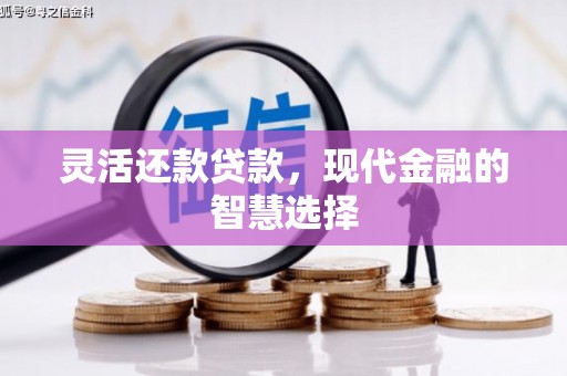 龙泉驿灵活还款贷款，现代金融的智慧选择