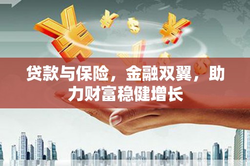 龙泉驿贷款与保险，金融双翼，助力财富稳健增长