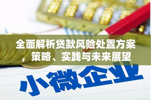 龙泉驿全面解析贷款风险处置方案，策略、实践与未来展望