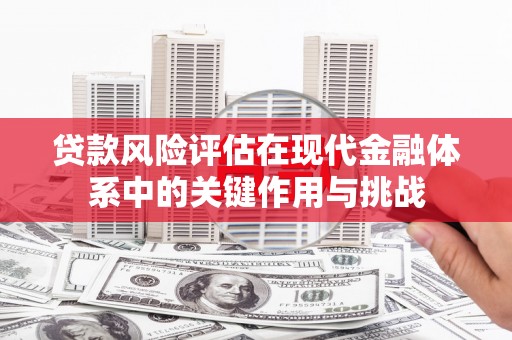 龙泉驿贷款风险评估在现代金融体系中的关键作用与挑战