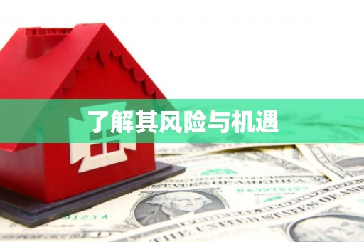 龙泉驿了解其风险与机遇