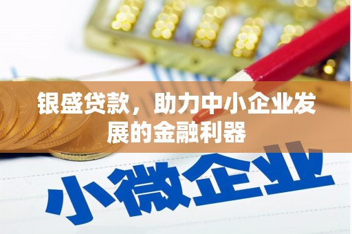 龙泉驿银盛贷款，助力中小企业发展的金融利器