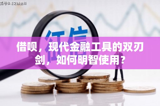 龙泉驿借呗，现代金融工具的双刃剑，如何明智使用？