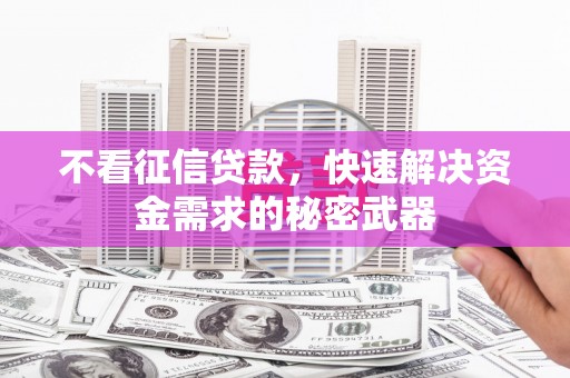 龙泉驿不看征信贷款，快速解决资金需求的秘密武器